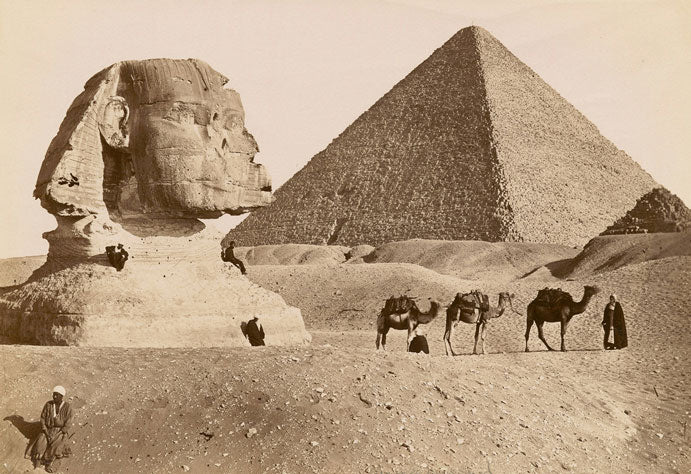 The History of Leather: From Ancient Times to Modern Fashion